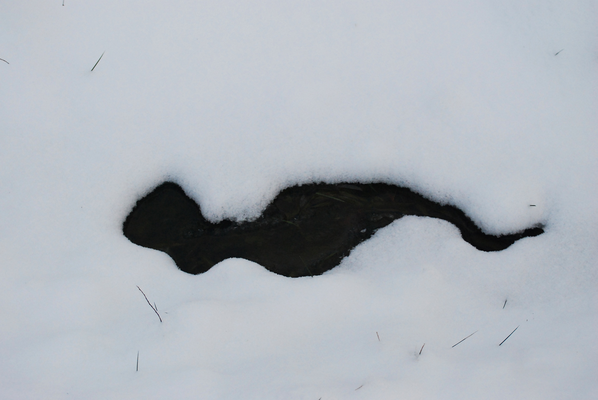 Gaál Zoltán Péter