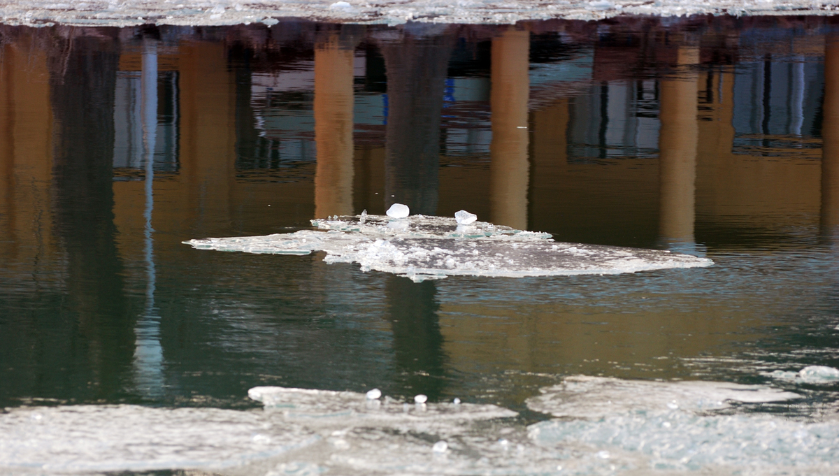 Gaál Zoltán Péter