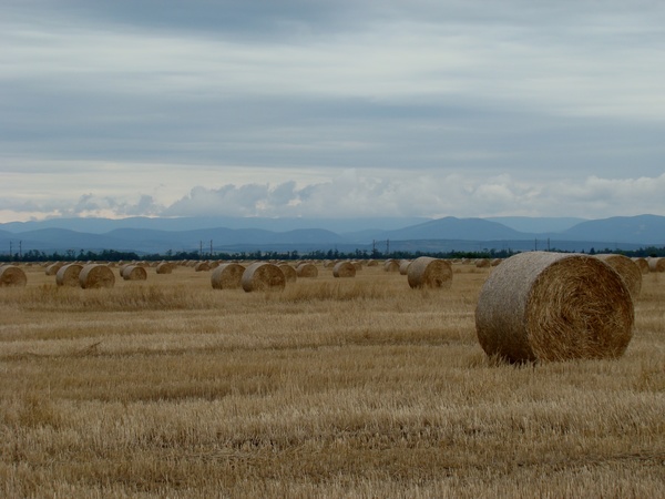 Csöndes várakozás