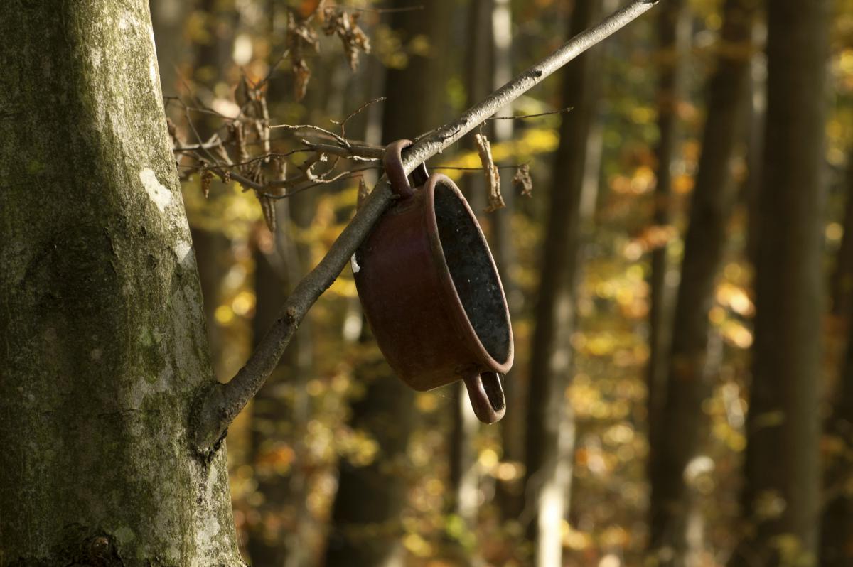 Berkesi Ágota Mirjam