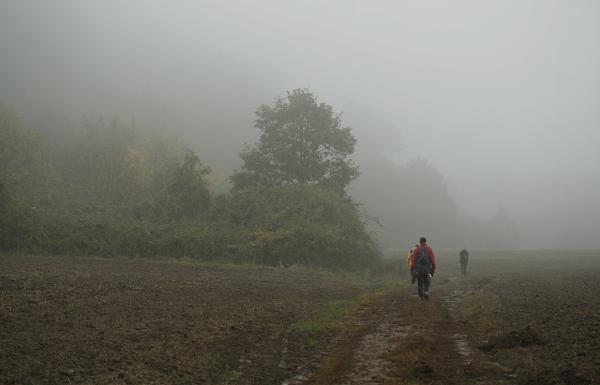 Sárdagasztók ködben