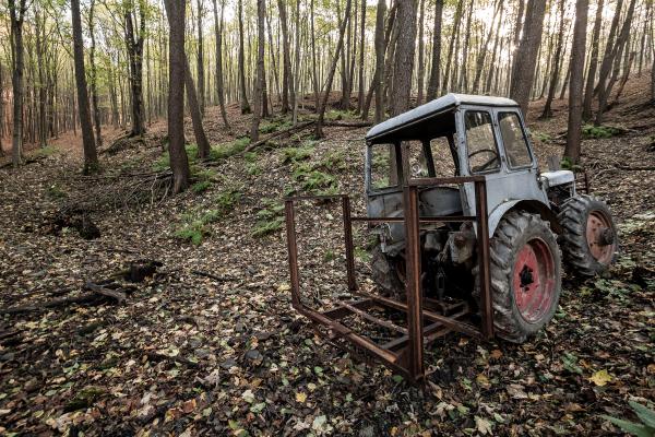 Élet az emberek után