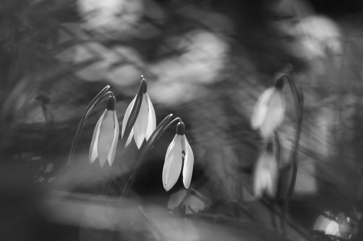 Berkesi Ágota Mirjam