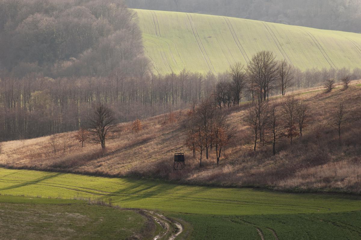 Berkesi Ágota Mirjam