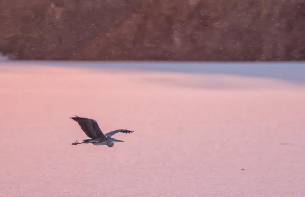 Alásütés vs. hózápor