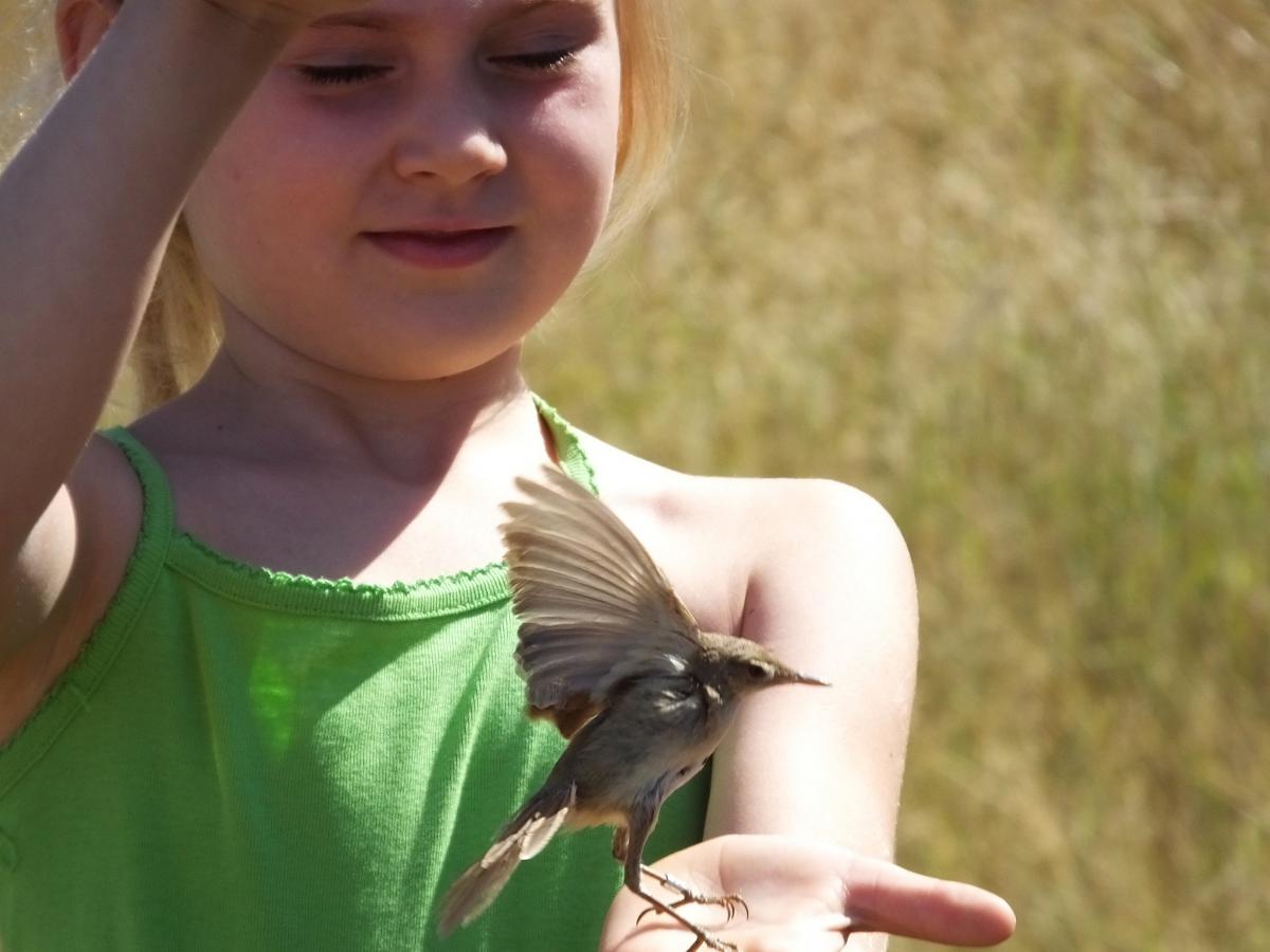 Koncz-Bisztricz Tamás