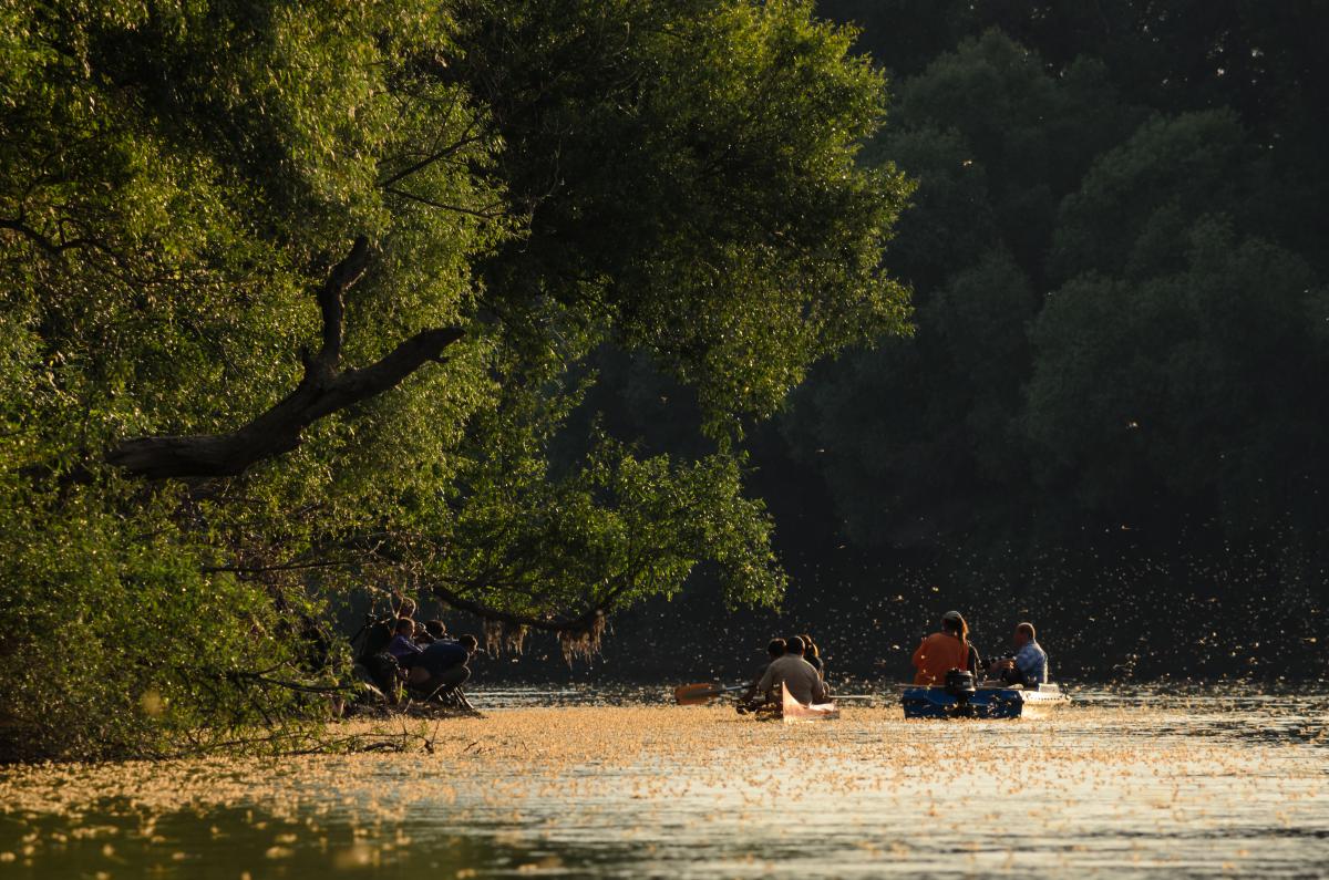 Szakolczai Krisztina