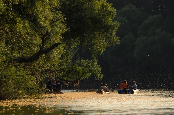 Kérészek és rajongóik