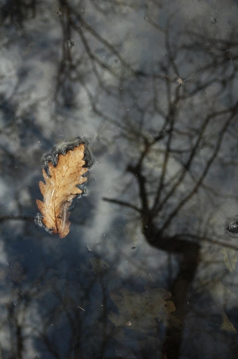 Berkesi Ágota Mirjam