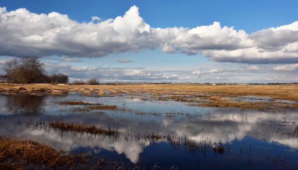 TAVASZI SZÉL VIZET ÁRASZT