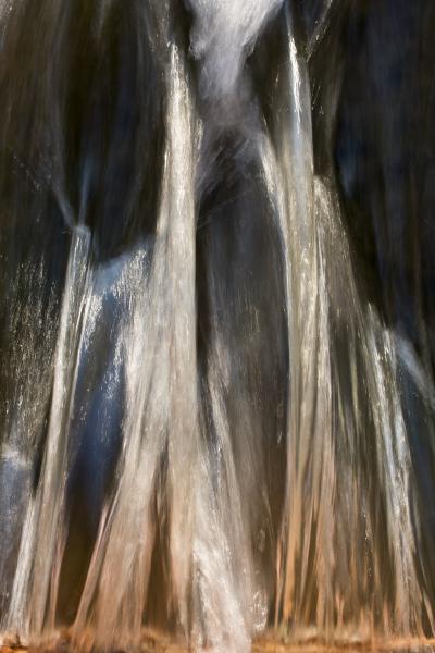 Vízivárosi katedrális