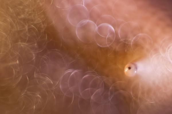 "Szép szemed világa"