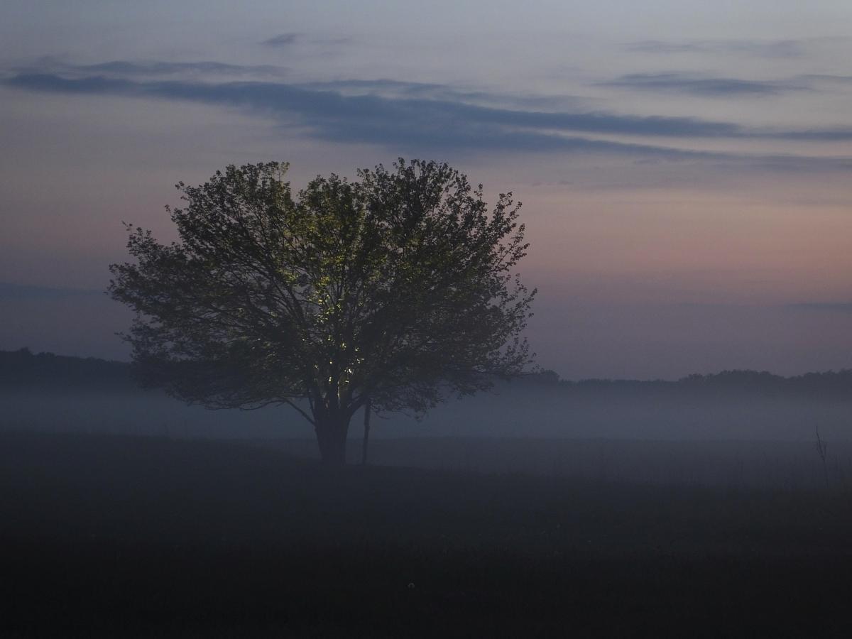 Koncz-Bisztricz Tamás