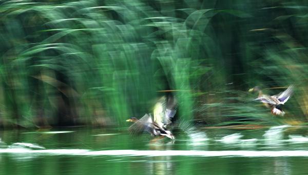 &quot;SZÉLVIHAR INDULÓ&quot;