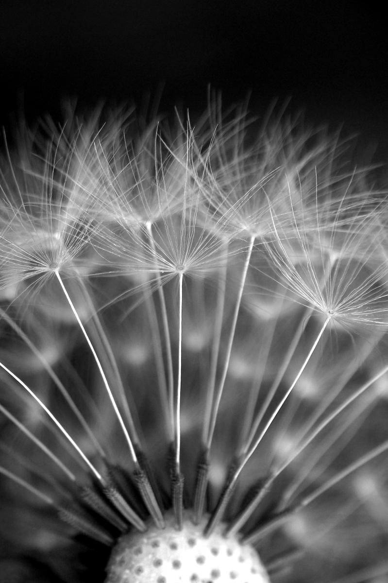 Kovács-Udvari Judit