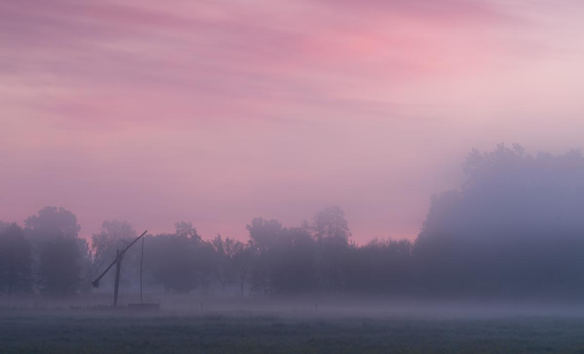 Szakolczai Krisztina