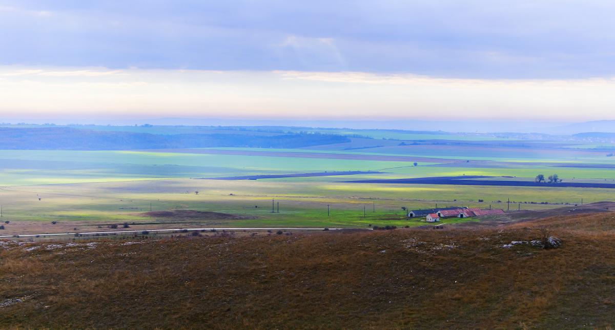 Gaál Zoltán Péter