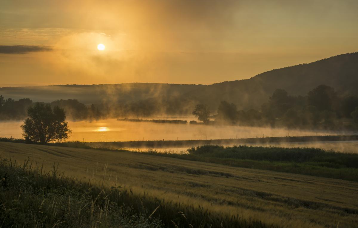 Kacs Dávid