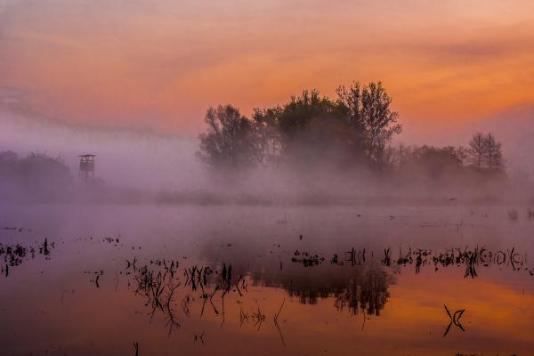 Ködpárás hajnalpír