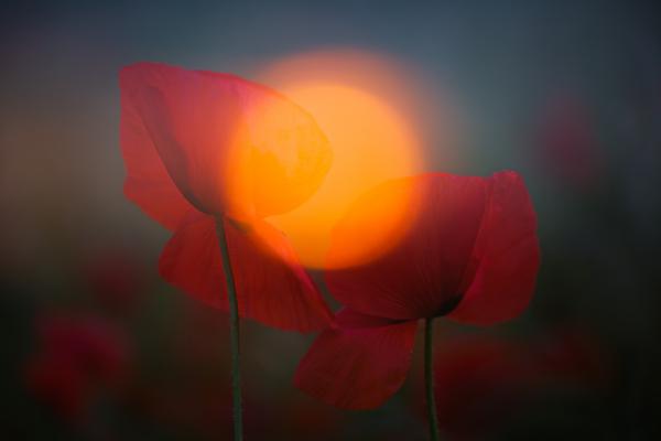 Csodát termő kapcsolat