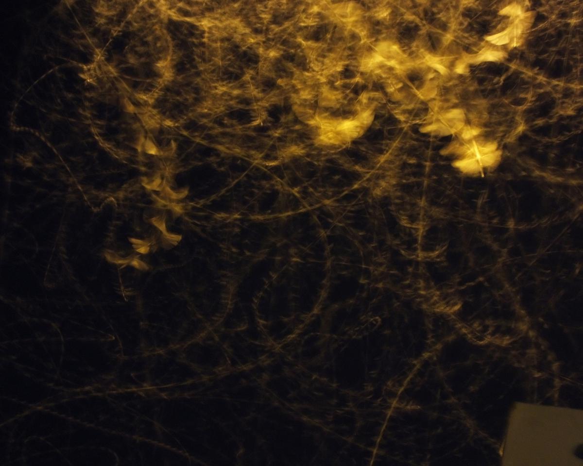 Koncz-Bisztricz Tamás