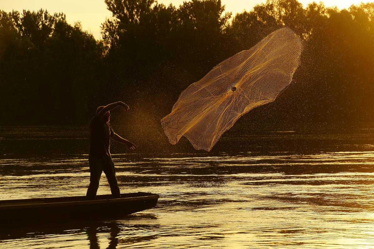 Kalmár Lajos Gábor