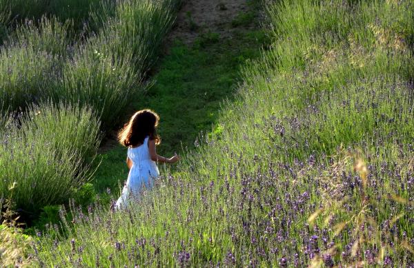 Levendula lány