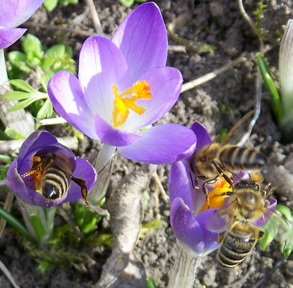 Csak szépen sorban...