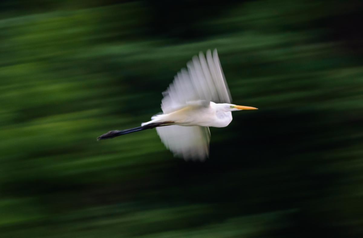 Szakolczai Krisztina