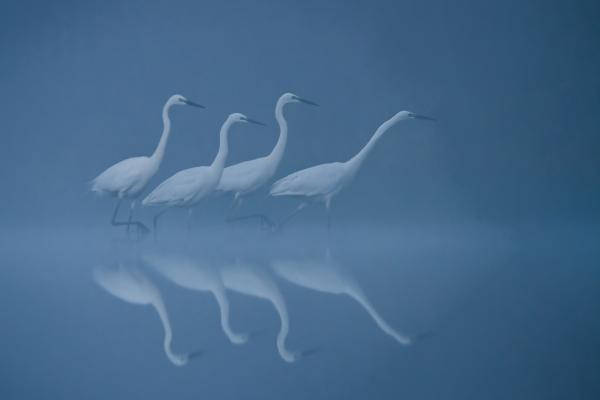 Bátorság srácok, bátorság!