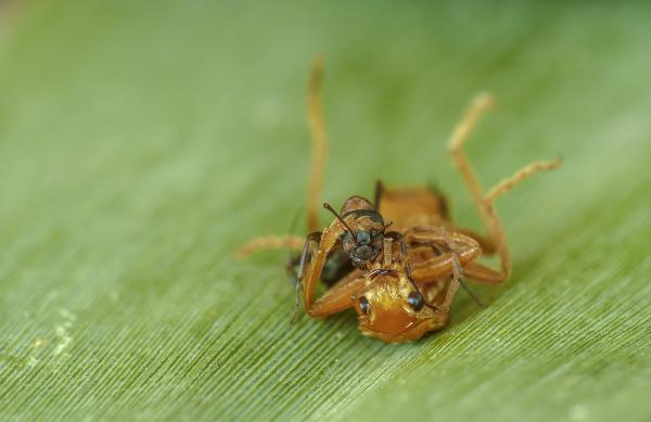 Na még, még, még ....