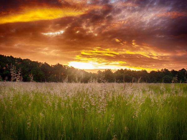 Ki korán kel aranyat lel..