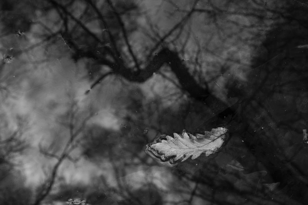 Berkesi Ágota Mirjam