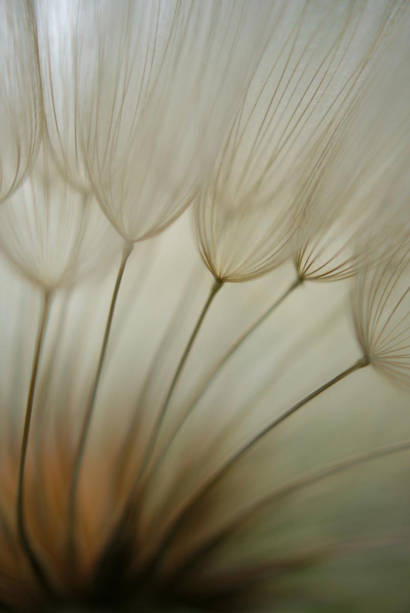 Laczkó-Magyar György