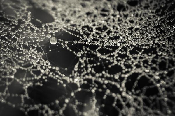 Gyöngyös szövevény