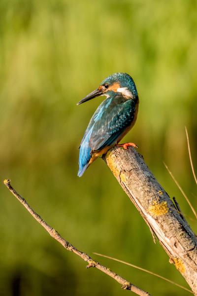 Hátul is van szemem!