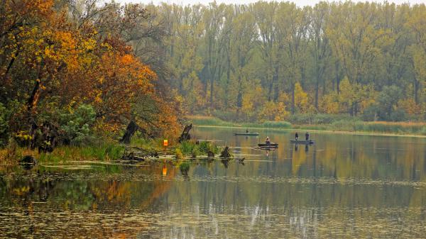 Őszi mozgolódások