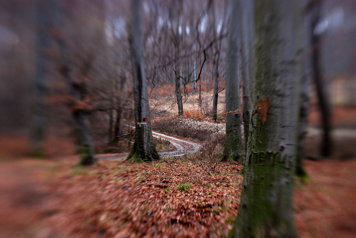 Gaál Zoltán Péter