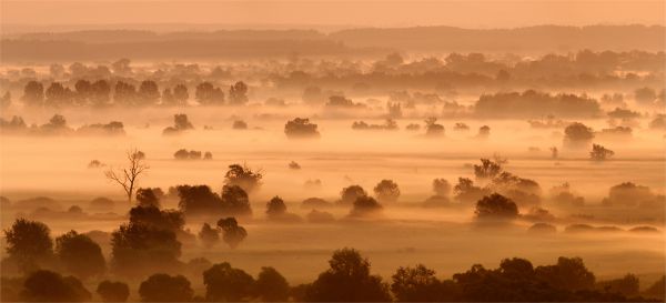 ANP02 - Nyári hajnal