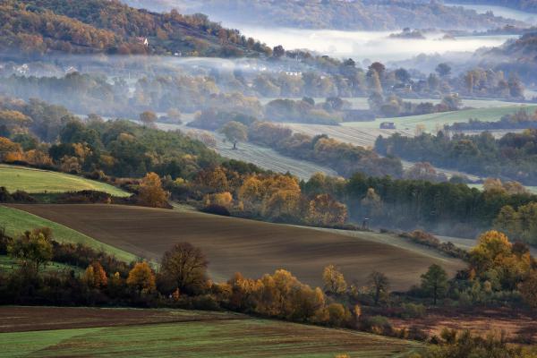 Bágyadt őszi fények