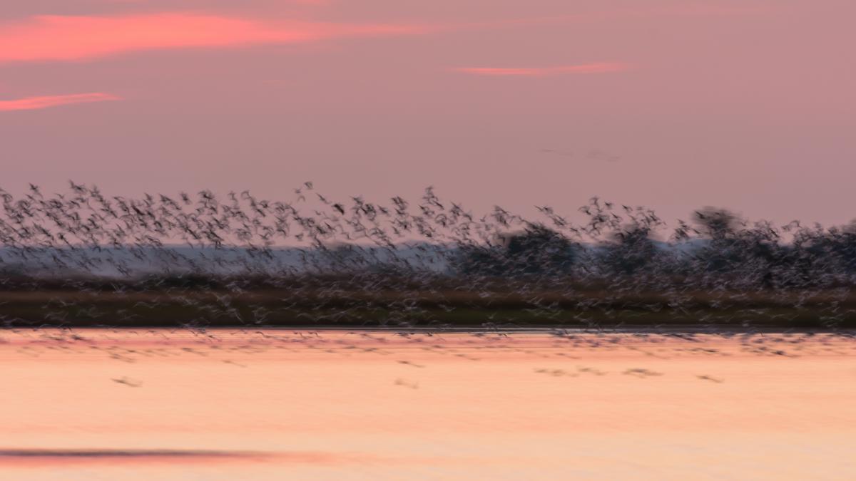 Szakolczai Krisztina