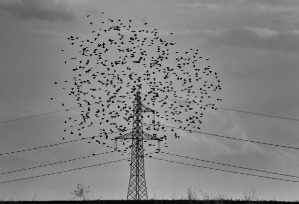 Az energia vonzásában