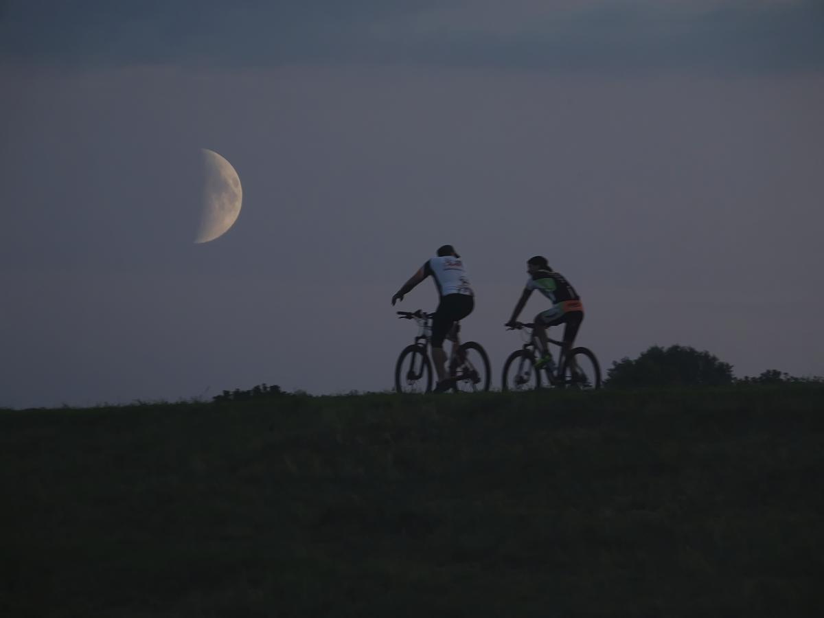 Koncz-Bisztricz Tamás