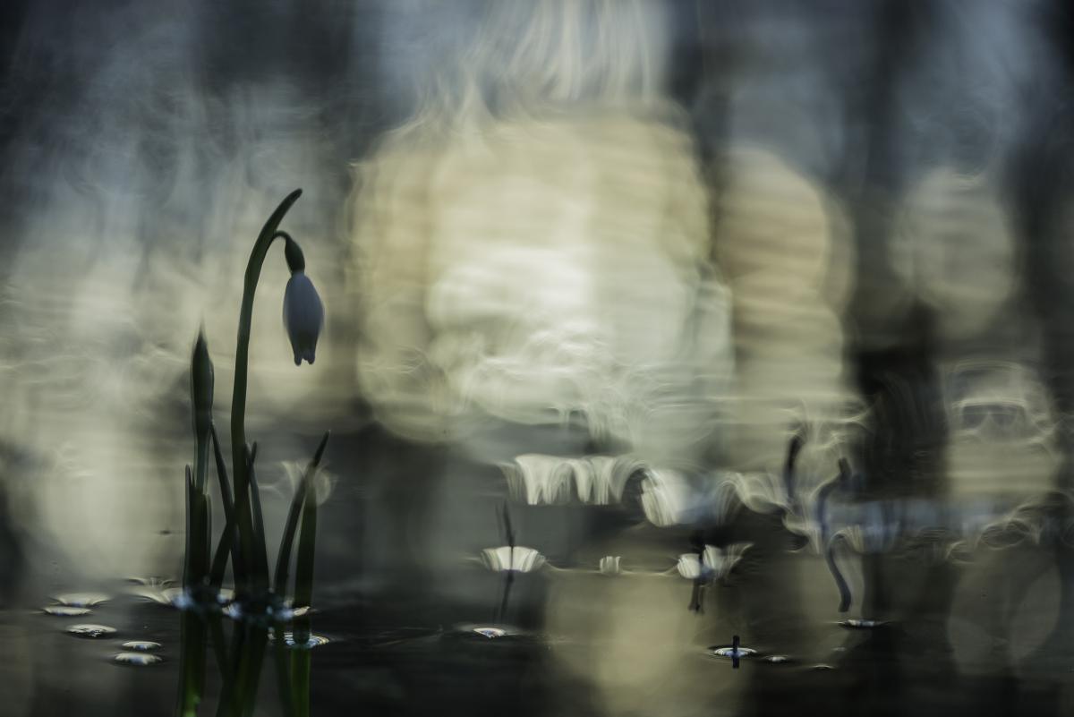 Darányiné Bakos Éva