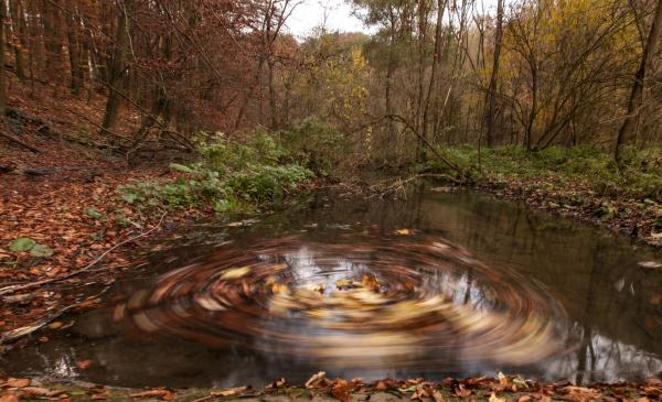 Évszakok forgása: Ősz.