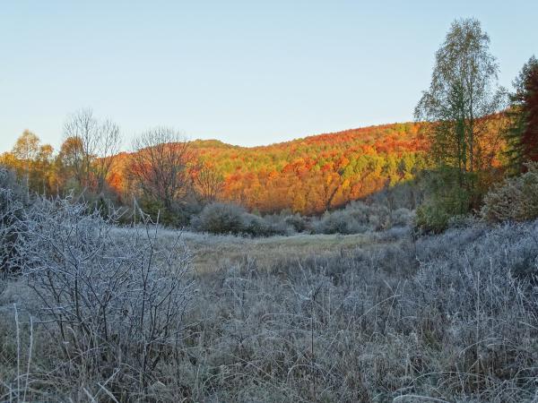 Évszakok háborúja