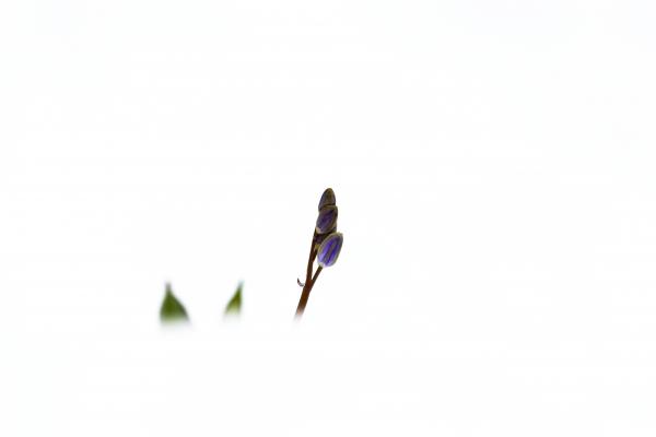 Amikor átölel a Tél