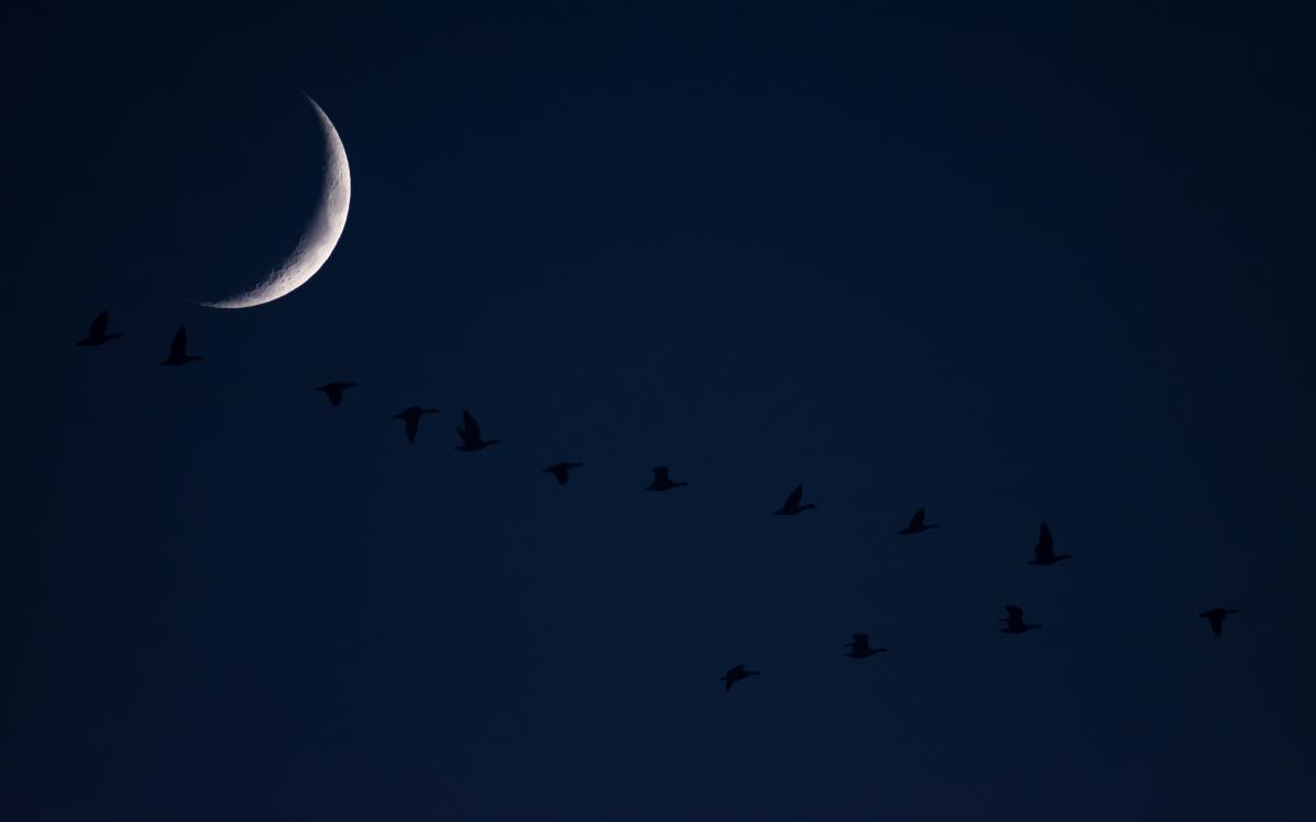 Szakolczai Krisztina