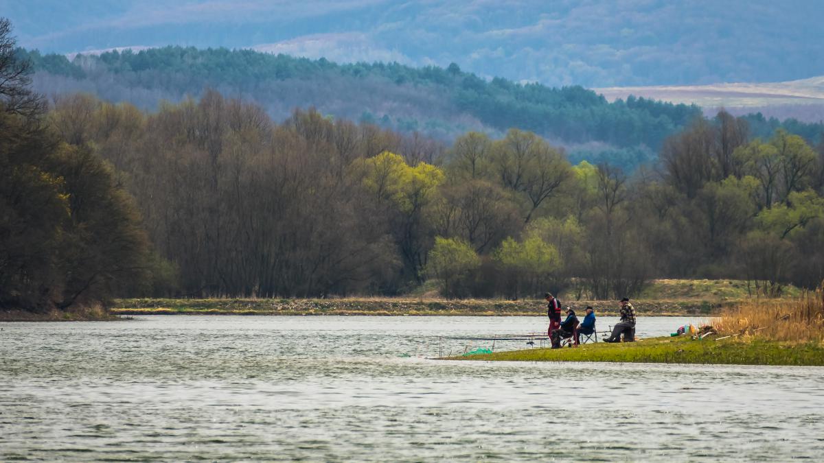 Kandolka Károly