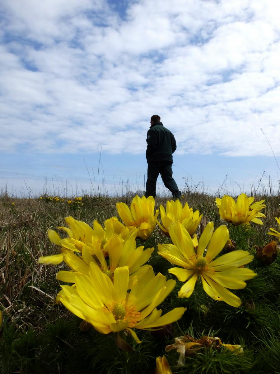 Koncz-Bisztricz Tamás
